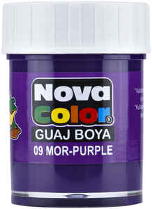 NOVA COLOR - NOVA COLOR GUAJ BOYA MOR ŞİŞE NC-111