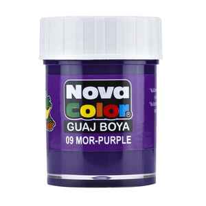 NOVA COLOR - NOVA COLOR GUAJ BOYA MOR ŞİŞE NC-111